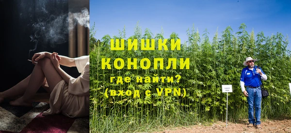 стафф Вяземский