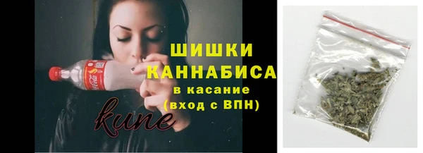 стафф Вяземский