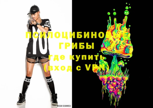 стафф Вяземский